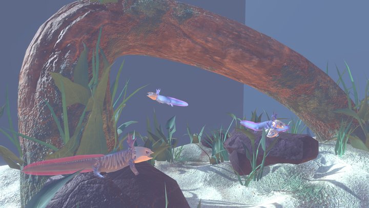Skelotl Fish Tank 3D Model
