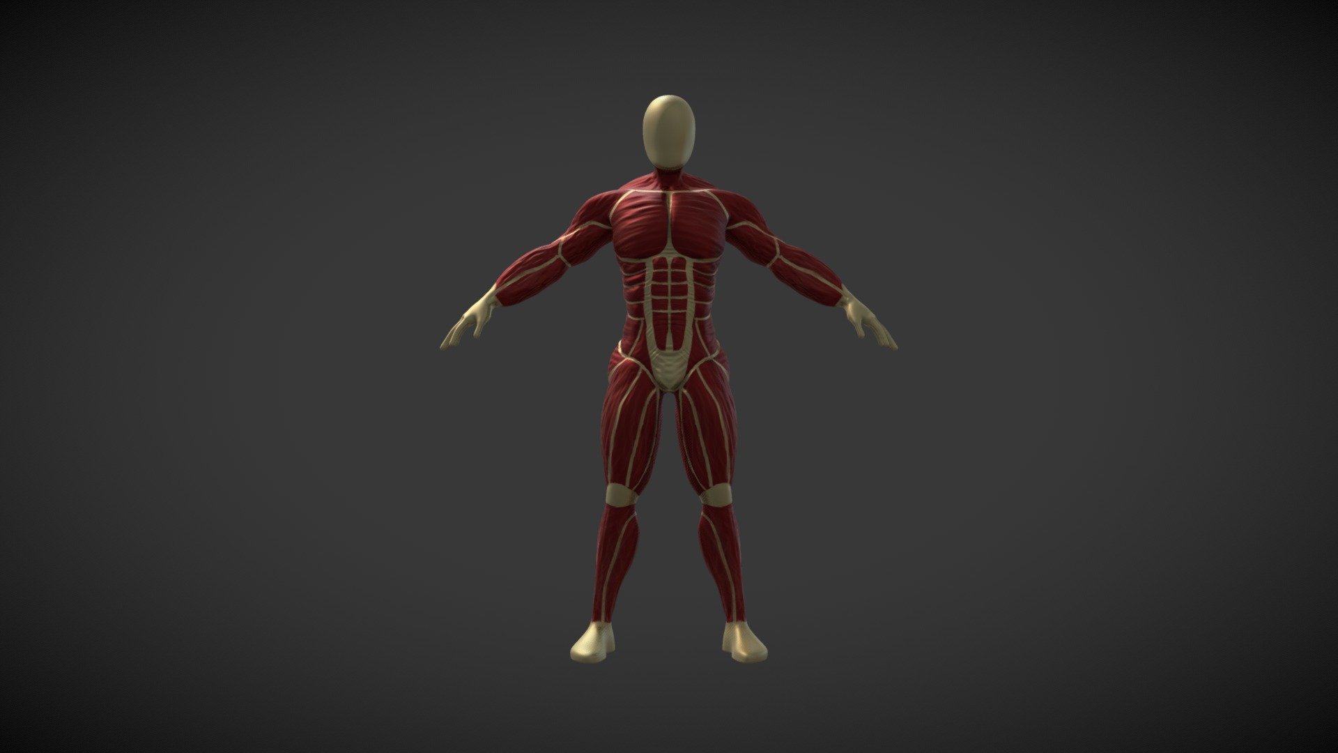 2283_Yarici_Ayse_Anatomy_V2
