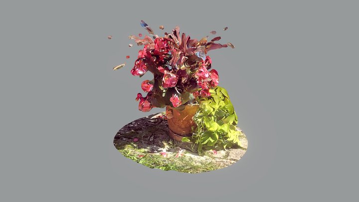 Punk Flower 3D Model