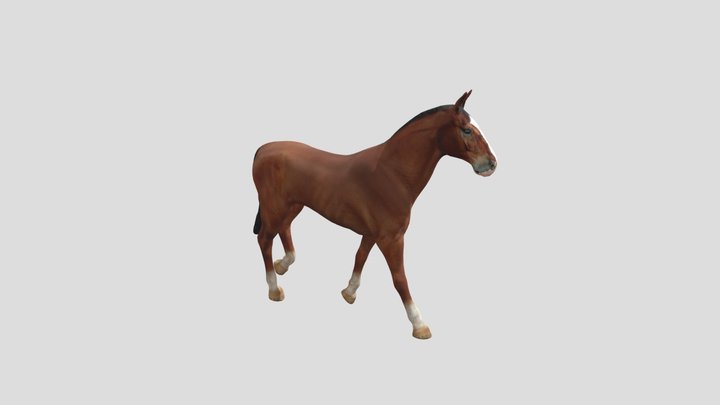 Horse animest super pro 3D Model
