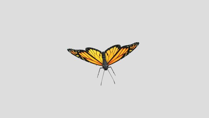 cartoon cute Butterfly 3D Model