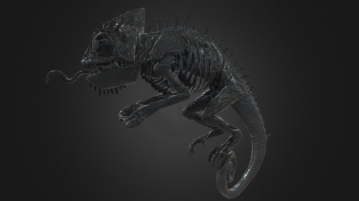Boney Black Chameleon Horror Monster