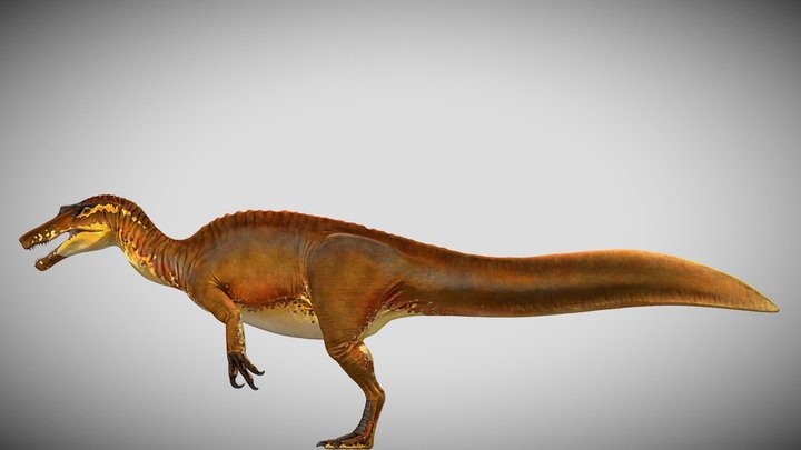 JWE3 Female Irritator ALT – Kostenloses 3D-Modell STL