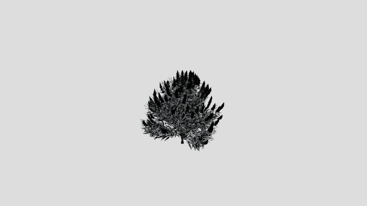 Shurb Spirea Care Blue Mist Animated – Modelo 3D gratuito STL