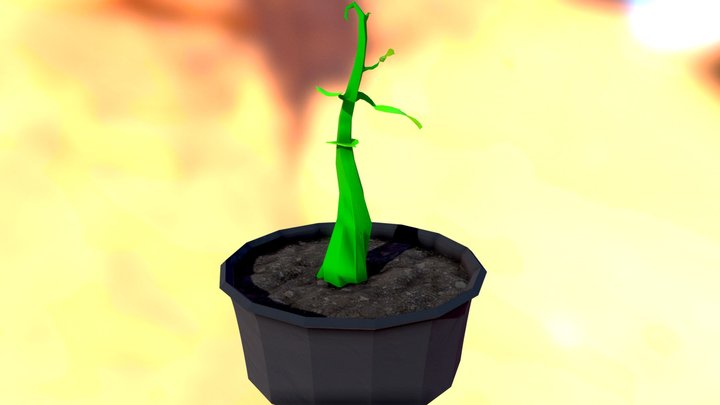 Pea Sprout 3D Model
