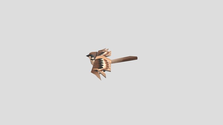 bird 3D Model