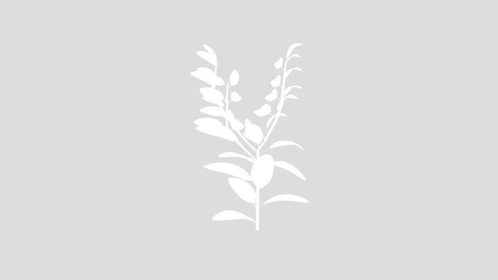 Outdoor Shrub – Free 3D Model STL