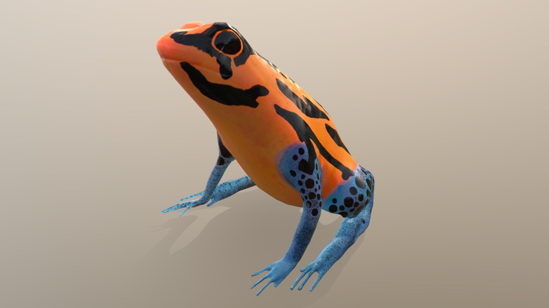 Poison Dart Frog