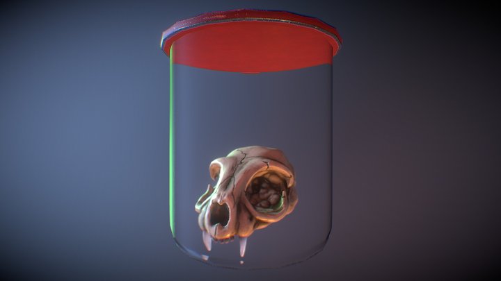 Cat Skull Flask 3D Model
