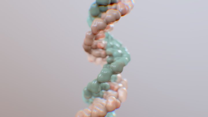 Realistic Structure and confirmation of DNA 3D Model