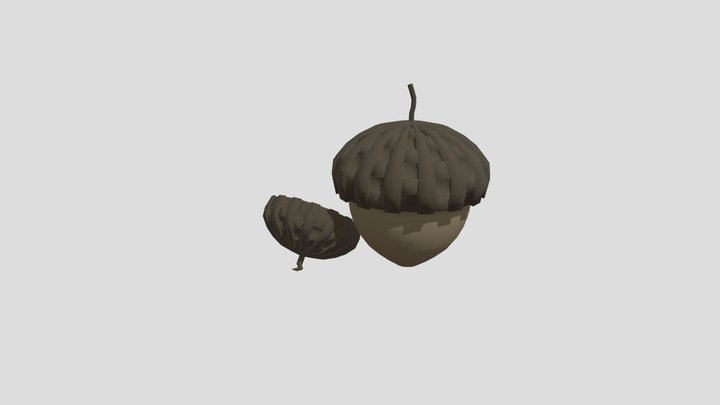 Acorn 3D Model