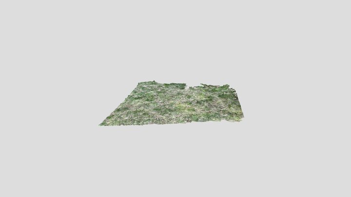 Lawn 1 3D Model