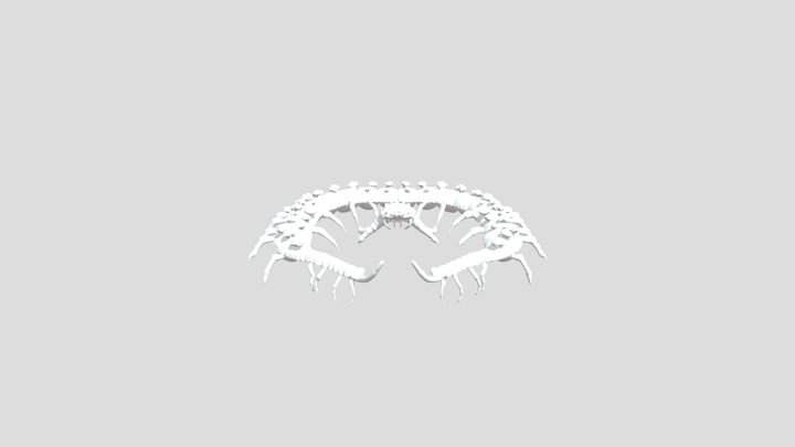 Cienpies 3D Model