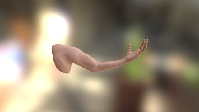 Sculptjanuary Arm 3D Model