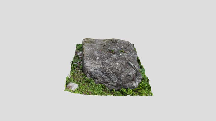 Cup-marked stone, Taufers i. M./Tubre (Italy) 3D Model