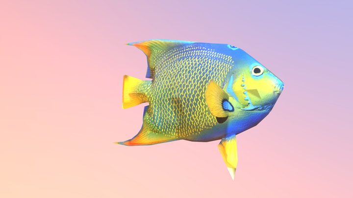 colorful fish 3D Model