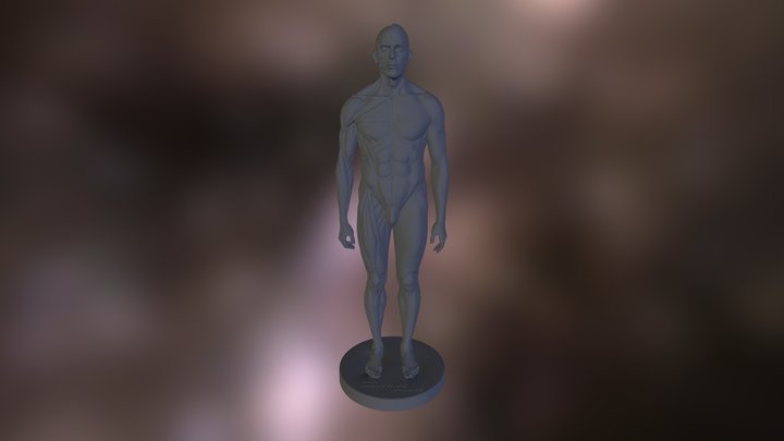 Mini Anatomy Figure 3D Model