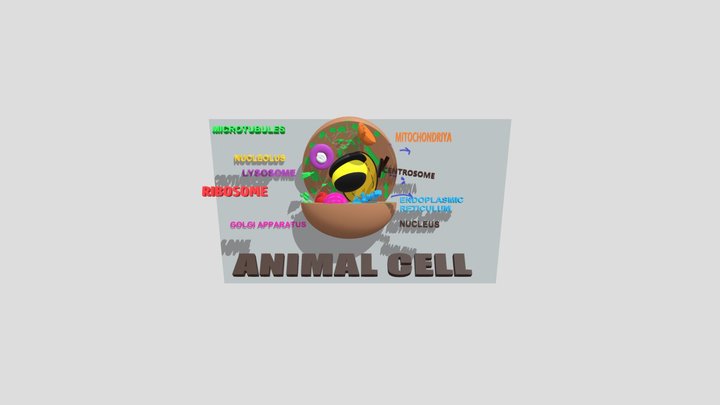 CELL_FINAL_GLB 3D Model
