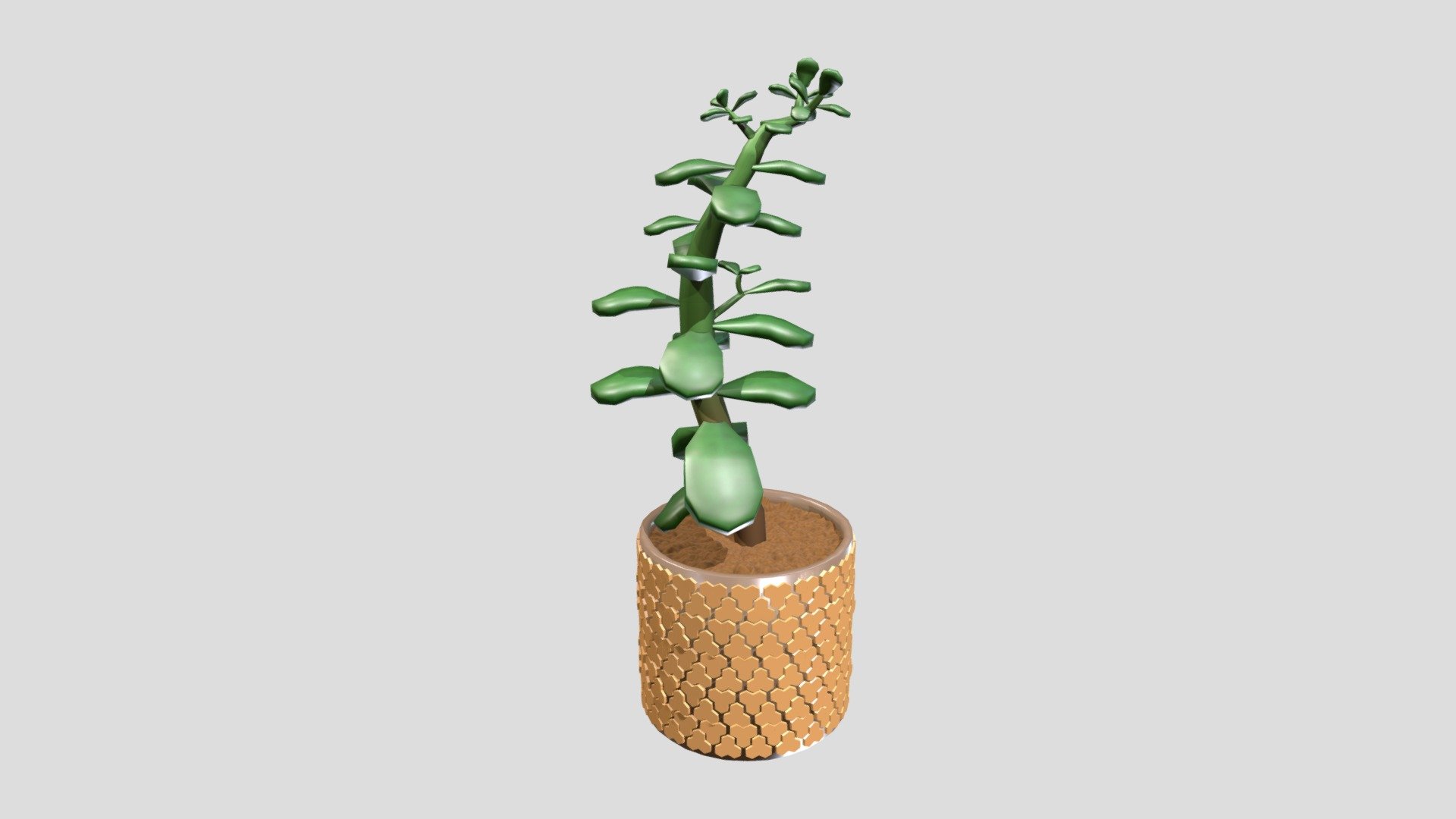 Plant Bake 3d Model By Jessf13 Charlien23 [0430b53] Sketchfab