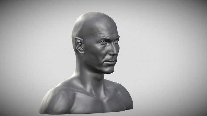 Zizou New Ago2019 06 3D Model