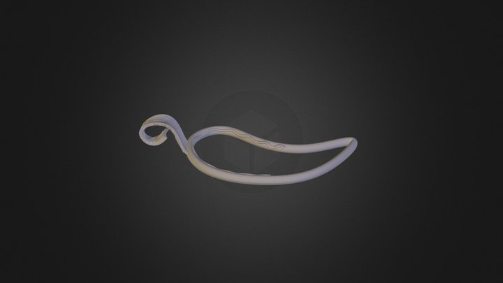 אליהו לימור מחבר אבקה 3D Model