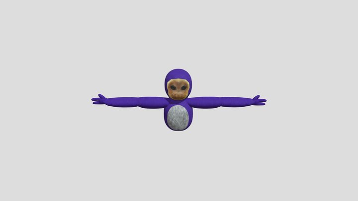 Capuchin 3D Model