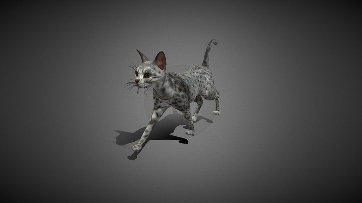 cat 3D Model