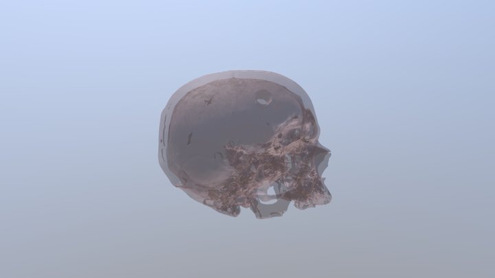 Sketchfab_2018_11_13_13_24_34 3D Model