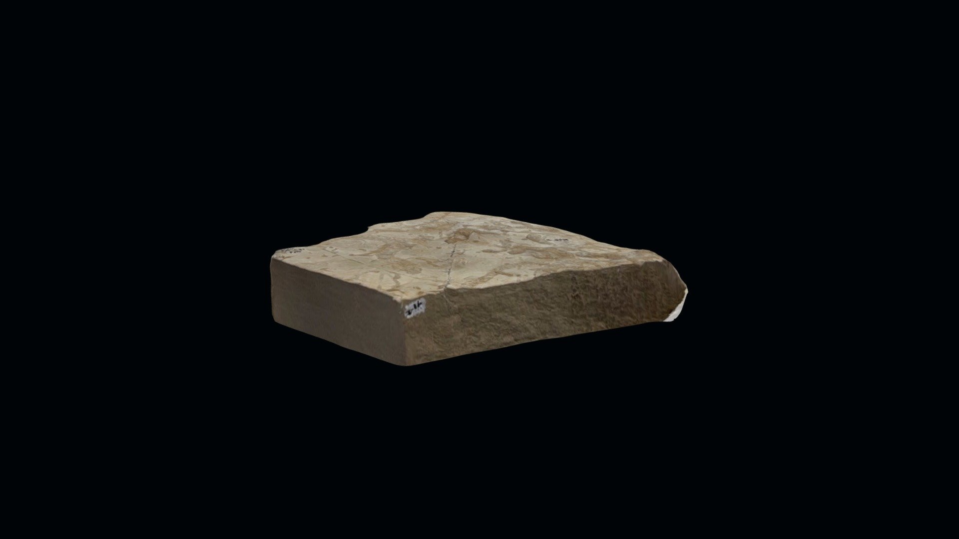 Late Cretaceous invertebrate trace fossils