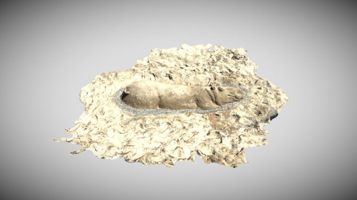Sand Sculpture - Hippopotamus 3D Model