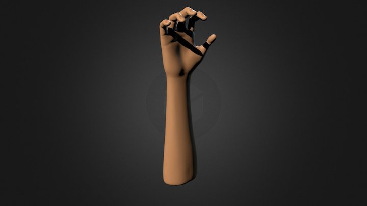 Textured Arm and Hand Drawing Reference Pose 03 3D Model