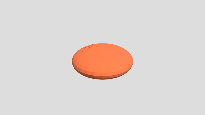Fosil Escarabajo 3D Model