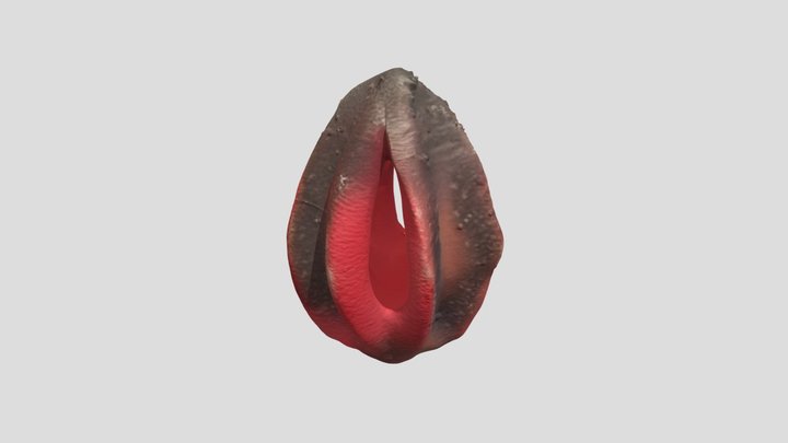 hydnora abyssinica fruit – Free 3D Model STL