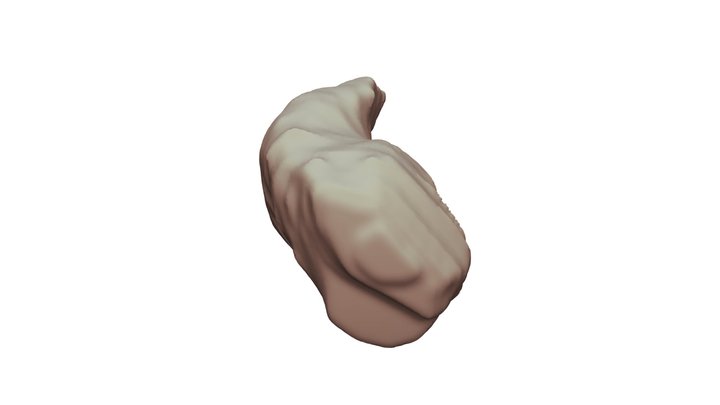 4 3D Model