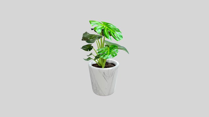 CGT 116 - A8 - Plant 3D Model