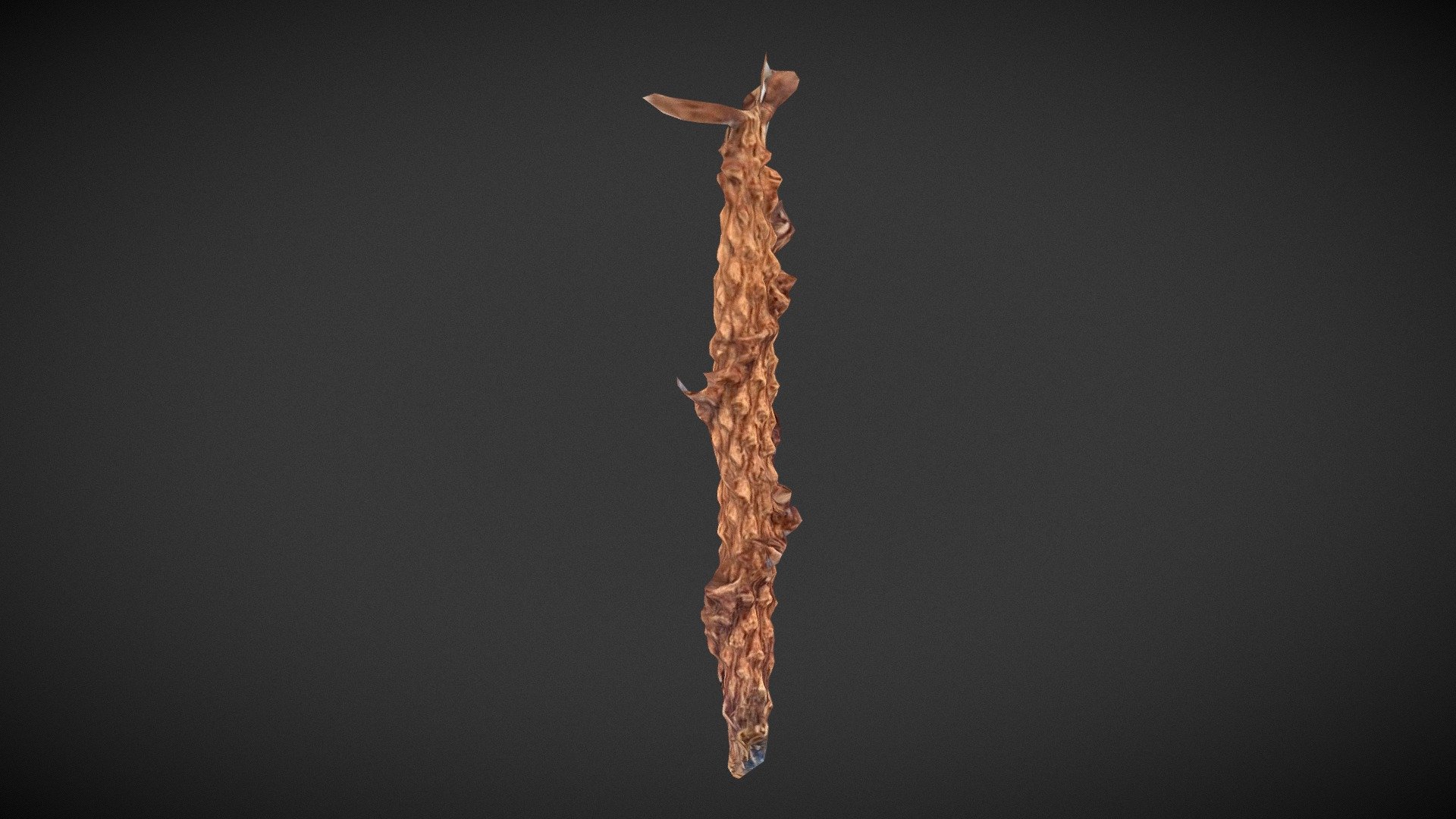 Pinecone chewed by squirrel - Download Free 3D model by CUPHAT [0444f43 ...