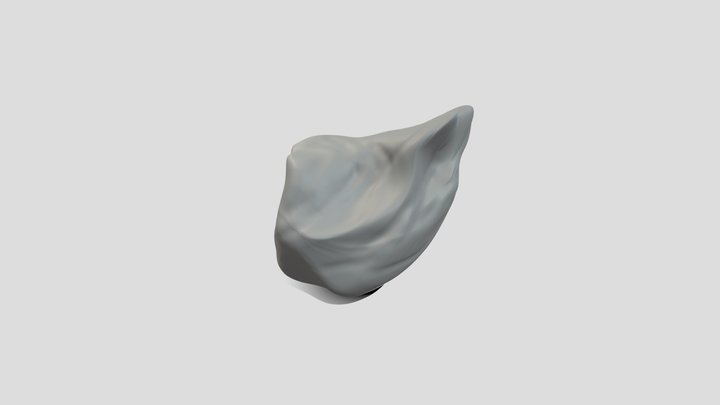 My model 3D Model