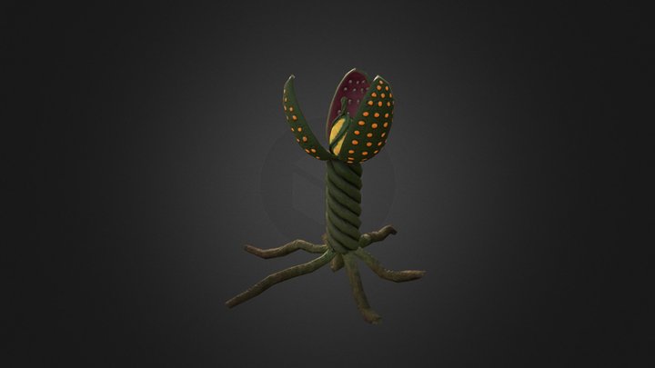 Carnivorous Plant 3D Model