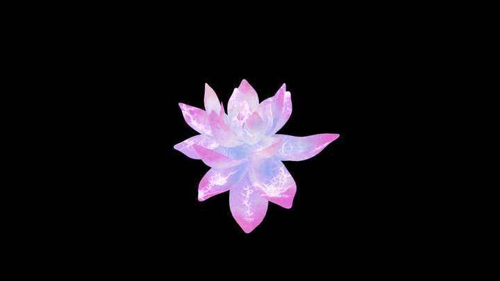 Maisim 3D Model