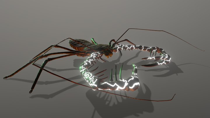 Whip Scorpion Export 3D Model