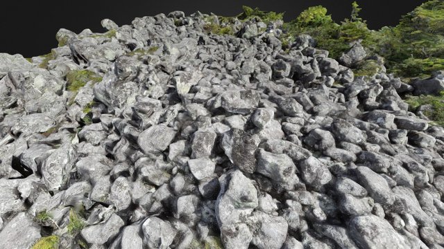 Block field 3D Model