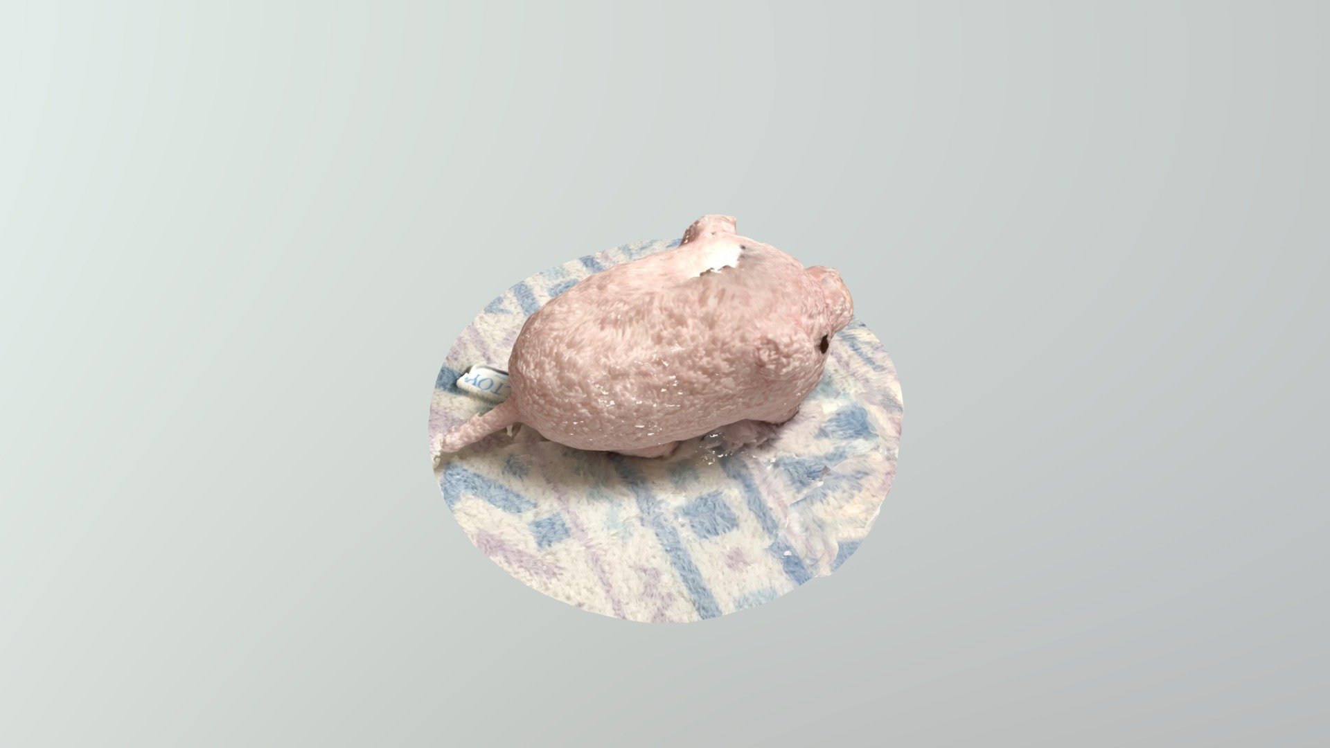 pig