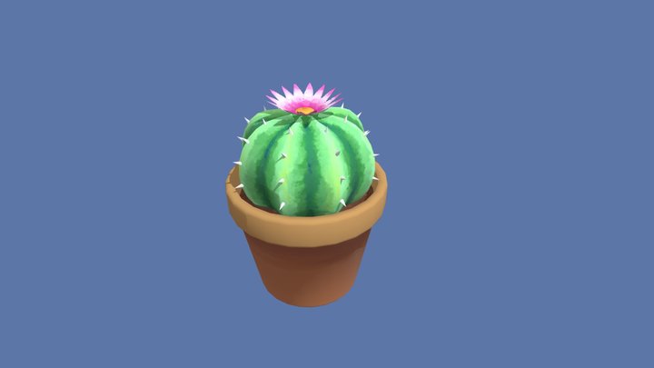 Another cactus 3D Model