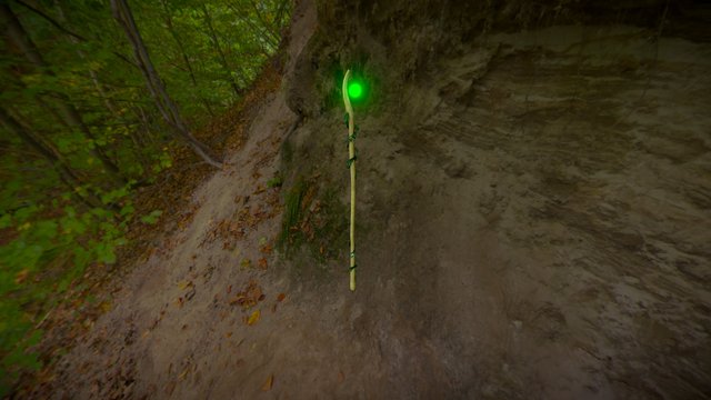 Staff Exp 3D Model