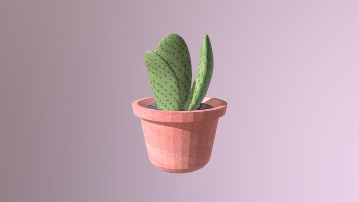 cactusdig 3D Model