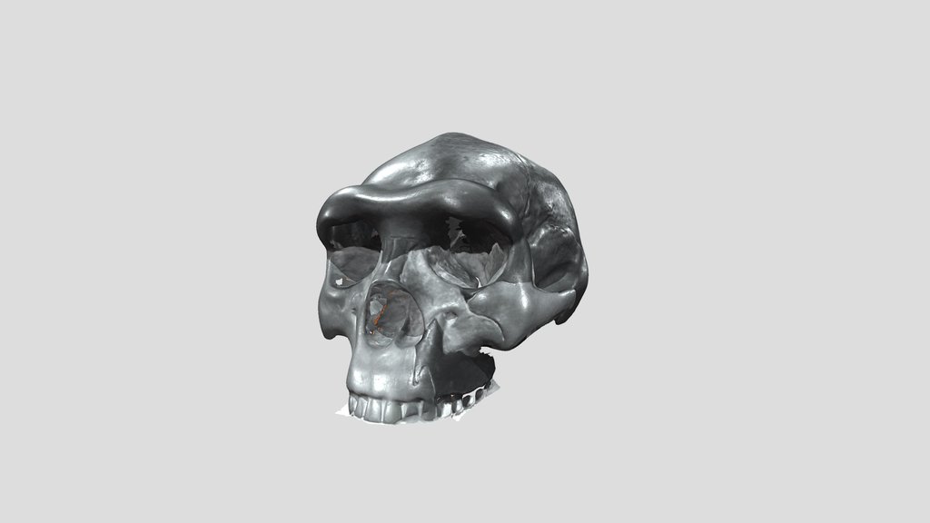 UNC_Scan_34