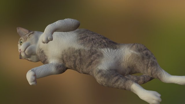 Cat 12 3D Model