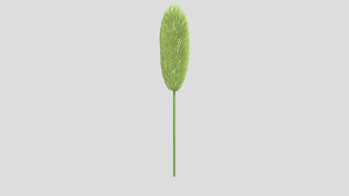 Foxtail grass 3D Model