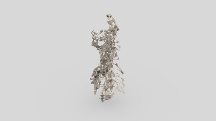 Spinal Swarm 3D Model