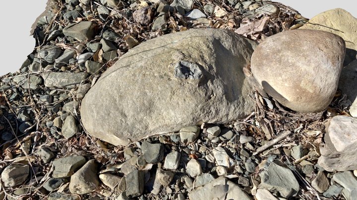 Red Rock - Inclusion? 3D Model